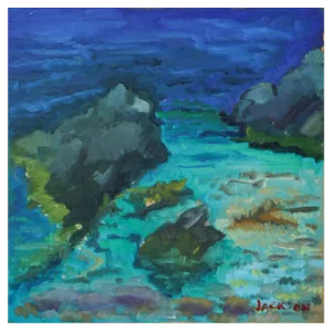 Jackson, Tamariu Spain, Oil on Board, 2010
