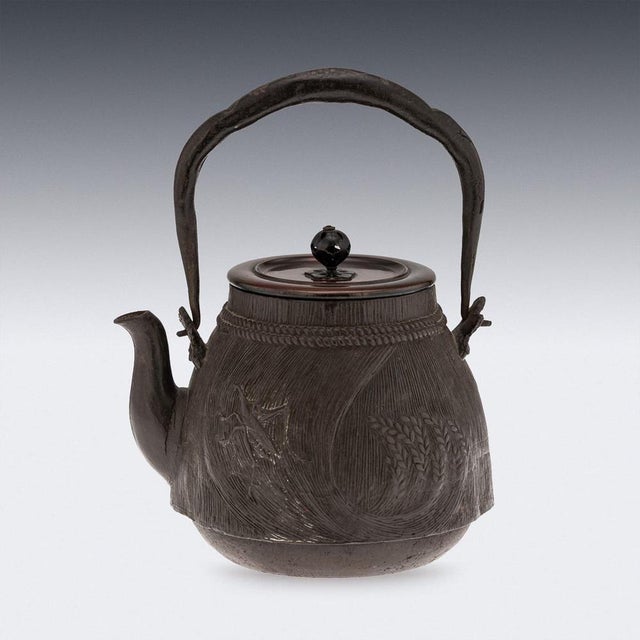 Antique Japanese Carved Cast Iron Ryubundoa Tetsubin Kettle, 19th Century For Sale - Image 3 of 18