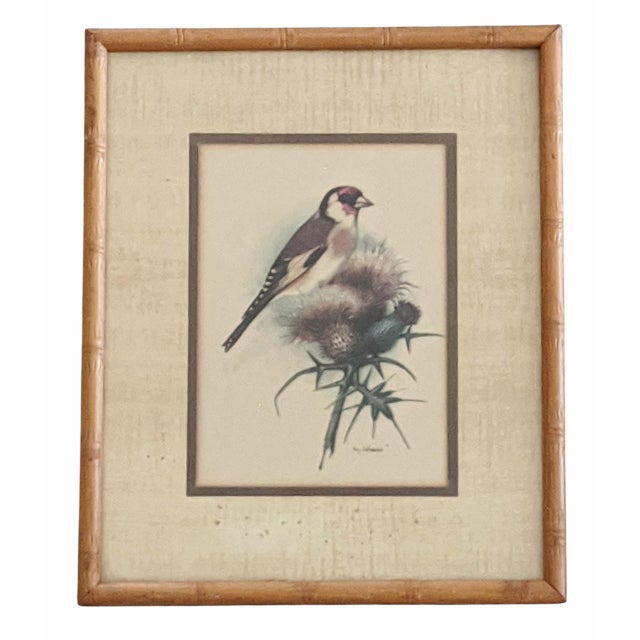 Vintage Bird Lithograph in a Wooden Faux Bamboo Frame Signed PH Gommer