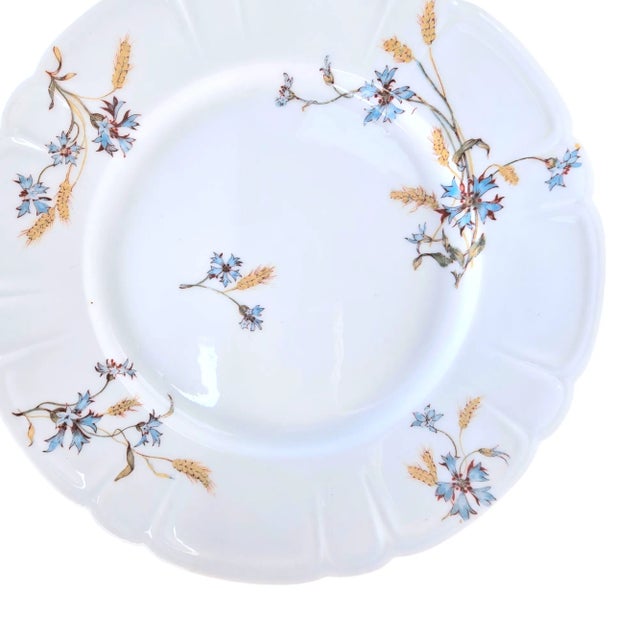 Haviland & Co. Schleiger 73-1 Salad Plates Set of 4 For Sale In San Francisco - Image 6 of 10