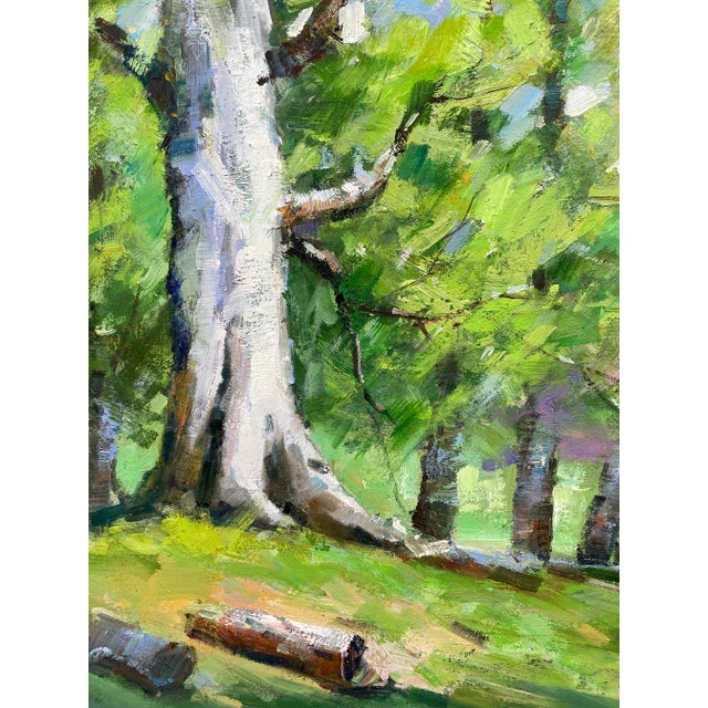 Wood Impressionistic Landscape Original Oil Painting For Sale - Image 7 of 10