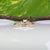 Green Colombian Emerald Ring With Earth-Mined Diamond Accents: Solid 14k Gold, 5x4mm, Size 6.75 For Sale - Image 8 of 9
