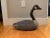 Canadian Goose Wood Decoy For Sale - Image 12 of 12