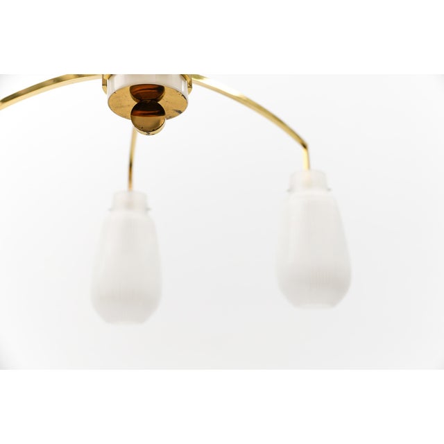 Gold Mid-Century Modern Nine-Armed Brass and Glass Sputnik Lamp, 1950 For Sale - Image 8 of 13