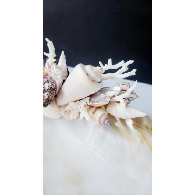Handcrafted Oyster Shell Tray With Vintage Seashell Specimens & Biwa Pearls — Coastal Sculptural Object For Sale - Image 10 of 12