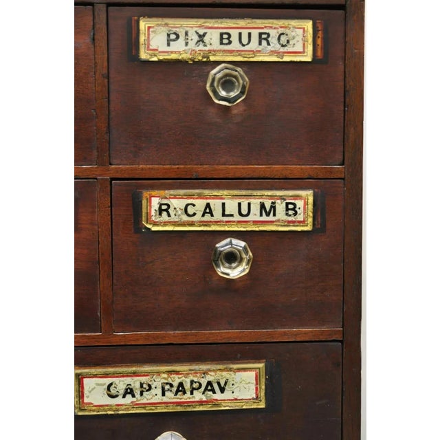 Wood 19th Century Victorian Mahogany Apothecary Medicine Cabinet With 10 Drawers Glass Pulls For Sale - Image 7 of 12