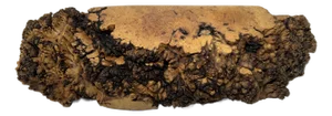 Late 20th Century Large Box, Maple Burl - 1 Piece