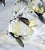 Wonders of the Sea Figurine by Swarovski For Sale - Image 10 of 18