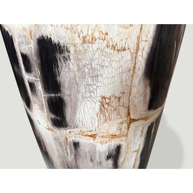 Andrianna Shamaris Exquisite Ancient Petrified Wood Side Table For Sale In New York - Image 6 of 8