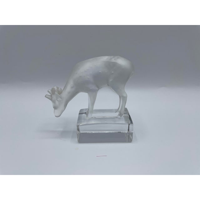 Daim Sculpture in Frosted Glass by René Lalique for Lalique, 1970s For Sale - Image 12 of 13