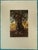 Gerard Diaz, L'olivier, Etching For Sale - Image 7 of 7