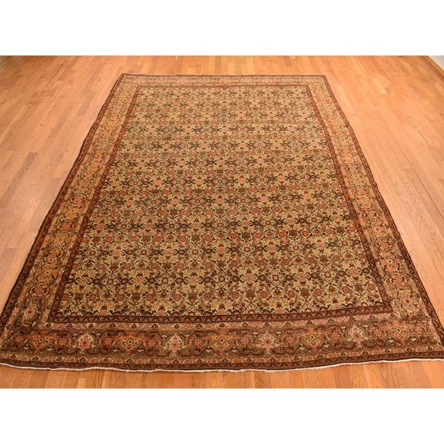 Biscotti Brown, Antique Persian with Fish Tabriz All Over Herat Design, Pure Wool, Hand Knotted, Oriental Rug Primary...