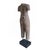 Transitional Hand-Carved Sandstone Male Torso Sculpture, Thailand, Circa 1940-1950 For Sale - Image 3 of 12