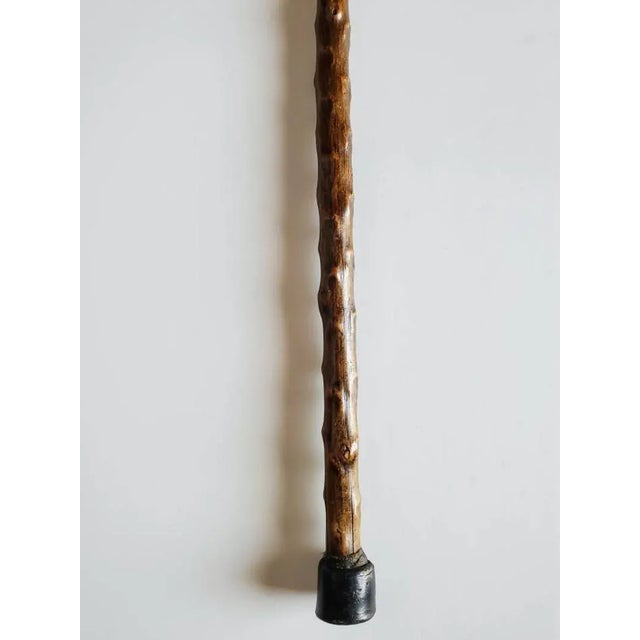Early 20th Century Early 20th Century Hand Carved Italian Greyhound Walking Cane For Sale - Image 5 of 11