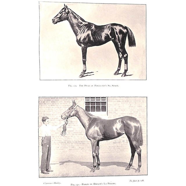 Paper "Points of the Horse" 1897 Hayes, Capt M. Horace For Sale - Image 7 of 9