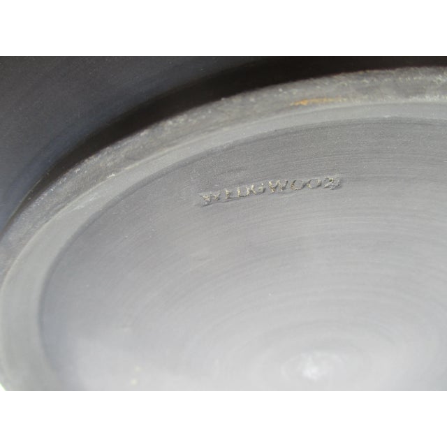 Stone Basalt Wedgewood Low Bowl/ Gardenia Bowl For Sale - Image 7 of 8