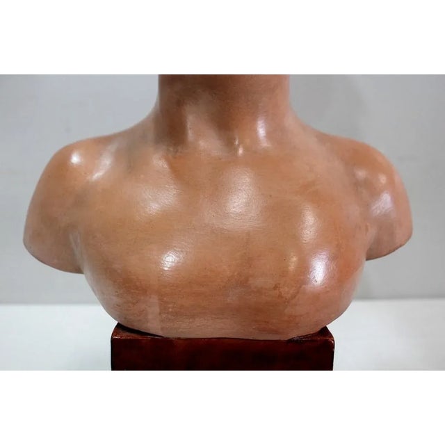 Terracotta Bust of Louise Brongniart After Houdon, 1900 For Sale - Image 12 of 18
