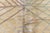 Abstract Modern Oversized Rug With Palm Frond Motif In Golden Tan "Palmera" For Sale - Image 4 of 8