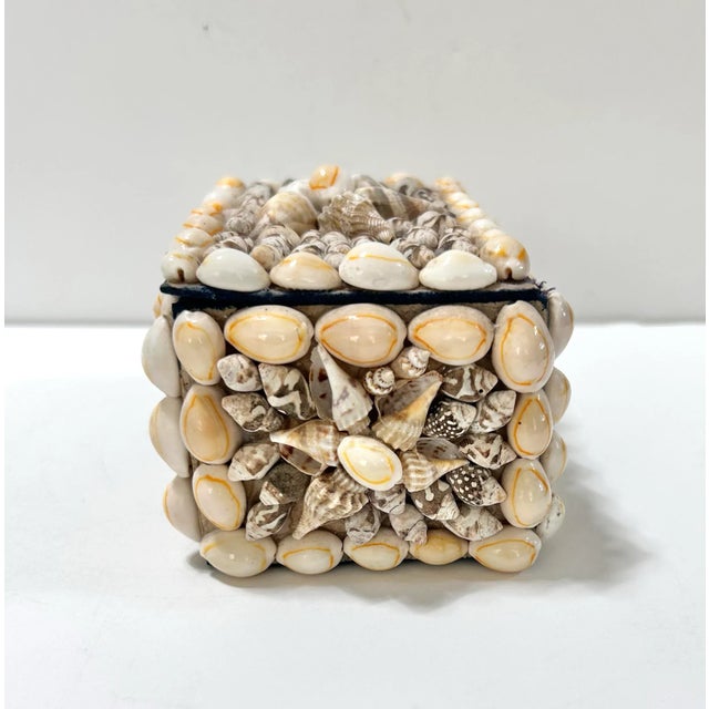 Wood 1940s Handcrafted Seashell Box, Coastal Palm Beach Decor For Sale - Image 7 of 10
