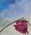 In "The Embrace," two figures entwine in a tender hug, their connection underscored by the contrasting presence of a...