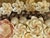 Coastal 16” Superb Sailors Valentines Sea Shell Octagonal For Sale - Image 3 of 5