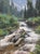 This oil painting captures a serene creek winding through a lush landscape, with logs partially submerged in the rushing...