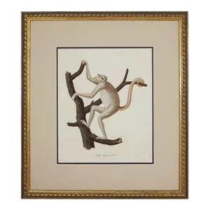 Early 20th Century Monkey Climbing Tree Antique Framed Wall Art