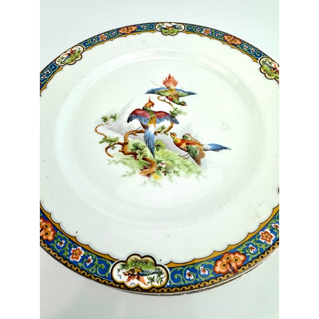 White 1920's John Maddock & Sons “Royal Vitreous” Bird Plates, Set of 6 For Sale - Image 8 of 12