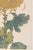 Not Yet Made - Made To Order Gold Mum by Hasegawa, Vintage Japanese Botanical Art Print, 16" X 24" For Sale - Image 5 of 9