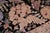 1990s Art Nouveau Floral 1990's Pak-Persian Black/Gray Wool Round Rug- 9'0'' X 9'2'' For Sale - Image 5 of 10