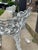 2 Vintage Victorian-Style Cast Iron Grapevine Leaf Garden Patio Chairs For Sale In Chicago - Image 6 of 11