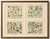 Paper M. Fünfstück, German Wildflower Botanical Plates, 1890s, Chromolithographs, Set of 4 For Sale - Image 7 of 9