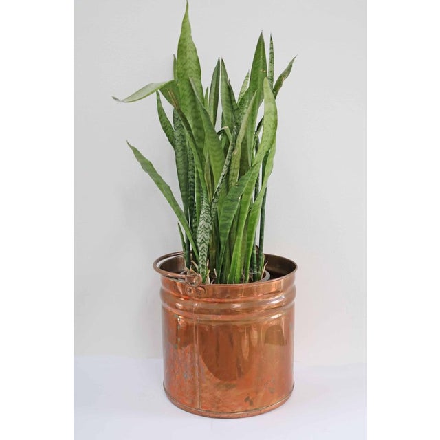 Large Danish Copper Bucket Plant Pot, 1960s For Sale - Image 4 of 11