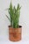 Large Danish Copper Bucket Plant Pot, 1960s For Sale - Image 4 of 11