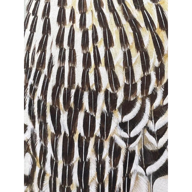 Antique White Vintage Original British Gouache Watercolor Peregrine Falcon by David Johnston For Sale - Image 8 of 12