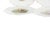Porcelain Plates from Vista Alegre, Set of 6 For Sale - Image 3 of 6