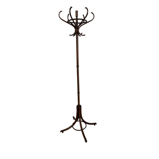 Wood Antique Handcrafted Bentwood Coat Rack and Hat Stand by Michael Thonet, 1900 For Sale - Image 7 of 10