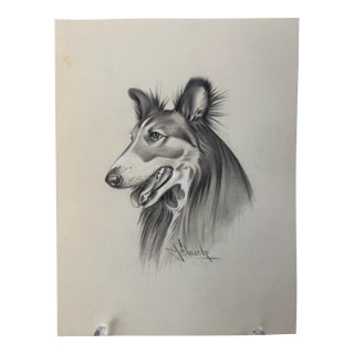 1940s Original Signed Graphite Portrait of Collie Dog, 1949, 11 × 8.25 In. For Sale