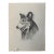 1940s Original Signed Graphite Portrait of Collie Dog, 1949, 11 × 8.25 In. For Sale