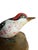 Austrian Folk Art Carved Wood Bird #81, 1930s For Sale - Image 4 of 6