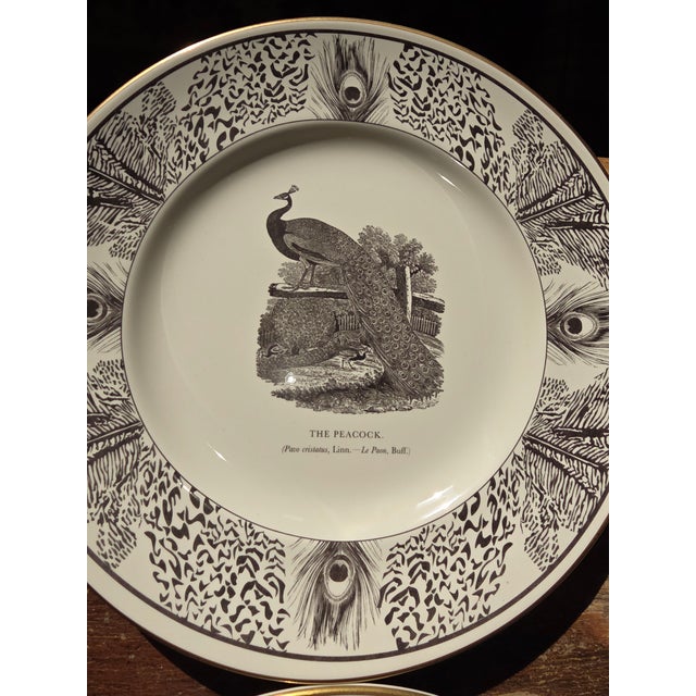 Six Bewick Bird Plates by Prinknash Abbey Pottery For Sale - Image 4 of 12