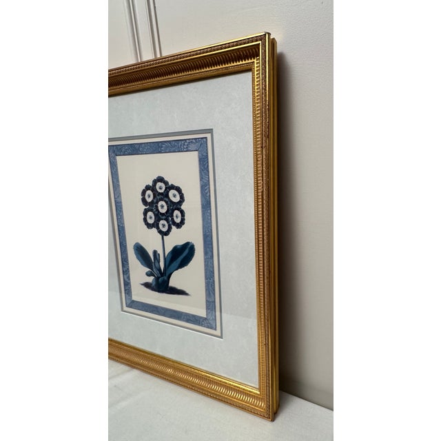 Vintage Traditional Victorian Blue Floral Botanical Gold Framed Reproduction Prints, a Pair For Sale - Image 15 of 17