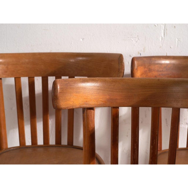 Bentwood Chairs in the style of Thonet, Central Europe, 1930, Set of 4 For Sale - Image 4 of 12
