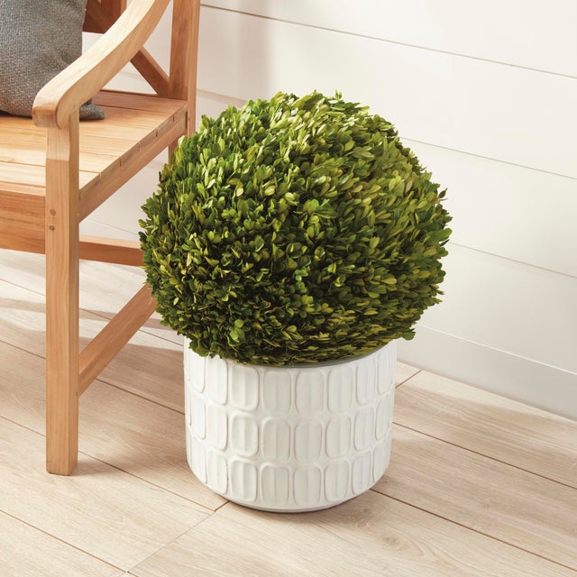 Farmhouse Boxwood Ball 16" For Sale - Image 3 of 6