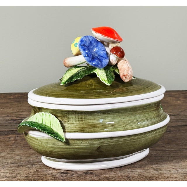 Italian Vintage Italian Ceramic Mushroom Soup Tureen With Ladle and Lid For Sale - Image 3 of 10