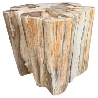 Andrianna Shamaris Impressive High Quality Ancient Petrified Wood Side Table For Sale
