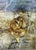 Large Oil on Cardboard Landscape Painting From 70's For Sale - Image 4 of 15