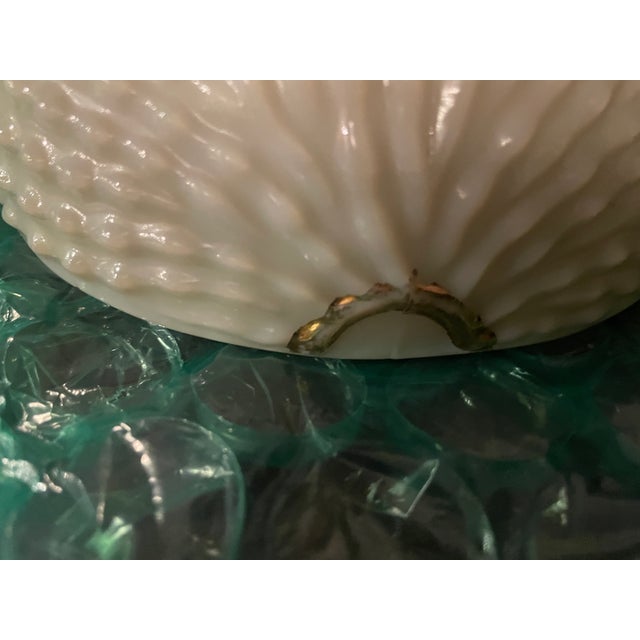 Antique Northwood Glass Company Nautilus (Argonaut Shell) Pattern Custard Glass Covered Butter Dish C. Early 1900's For Sale - Image 11 of 17