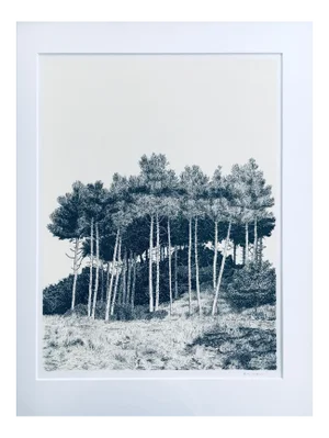 Lithograph, Duinen, Cees Vlag, 1987
