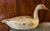 Wood Antique Carved Wood & Paint Decorated Snow Goose Waterfowl Bird Decoy Circa 1920 For Sale - Image 7 of 18